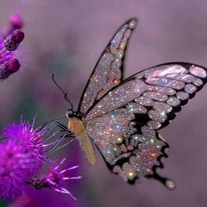 Meet your Posher, Patricia k